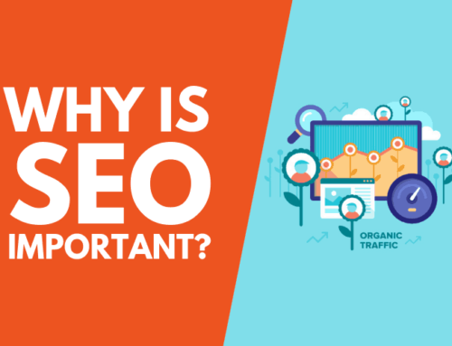 Importance of SEO for an E-commerce Website